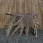 morepic-6
